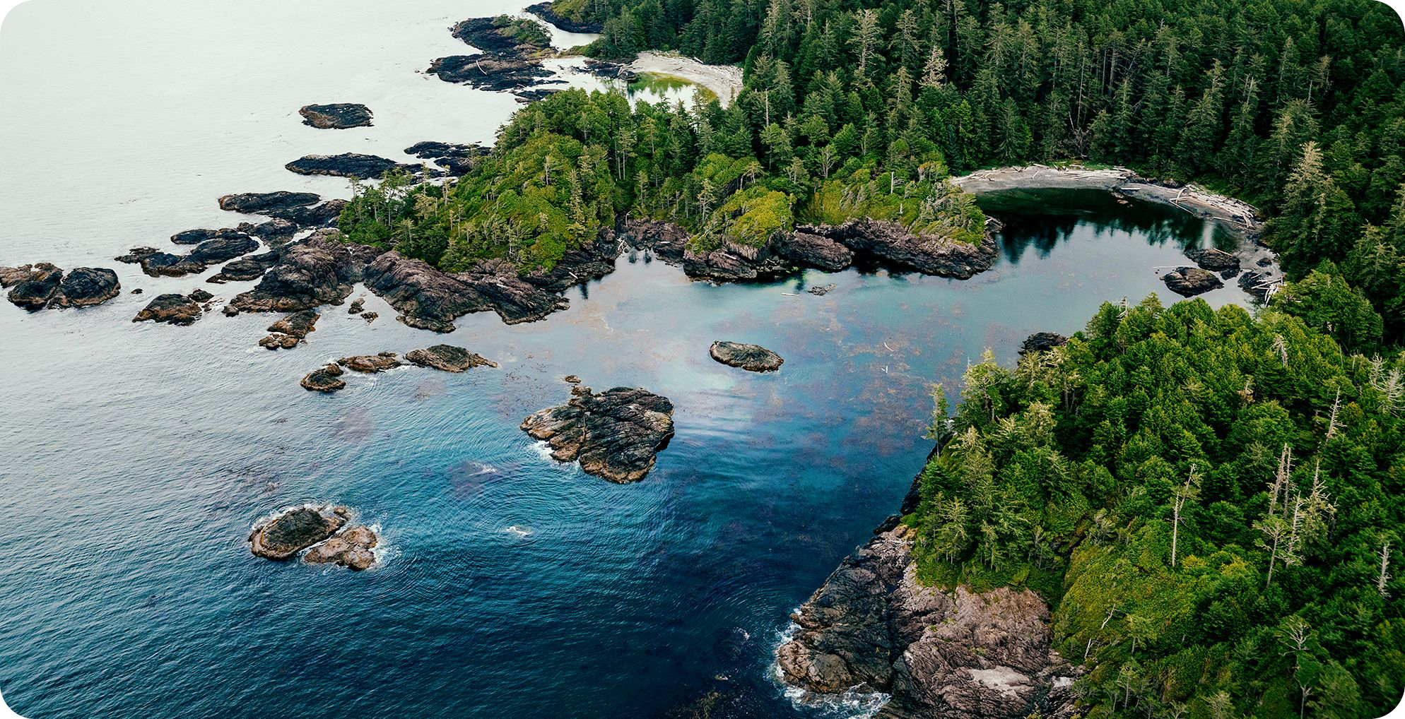 Scenic Flight Above Tofino