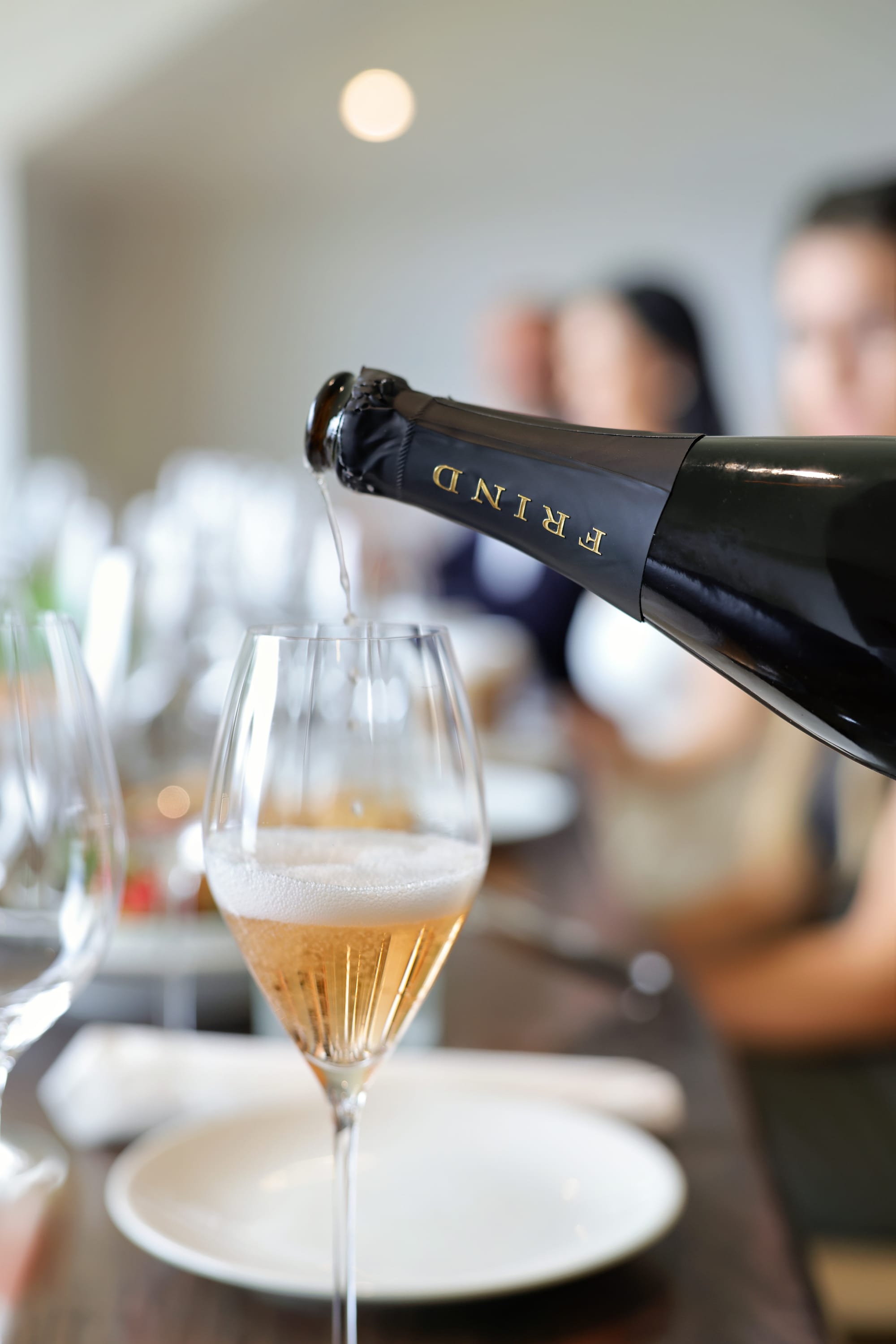 A Day of Flight, Flavour, and Unforgettable Views